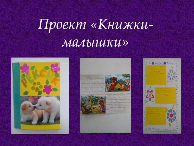 Проект «Книжки- малышки»