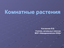 Презентация к уроку окружающего мира по темеКомнатные растения