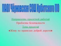 Презентация к проектной работе Живу по правилам доброй дороги