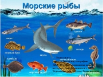 Презентация к уроку биологии на тему Морские рыбы: треска, сельдь (8 класс, школа для обучающихся с ОВЗ)