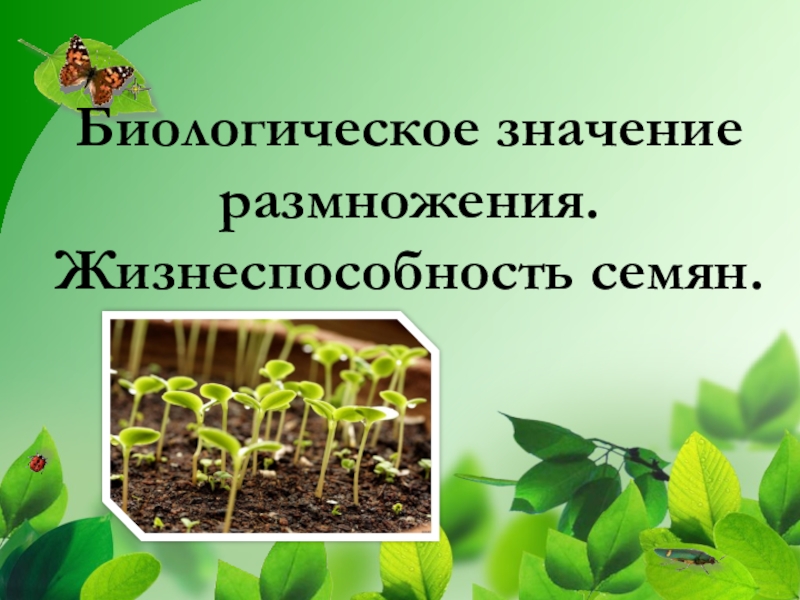 Какого значение размножения. Биологическое значение размножения. Каково биологическое значение размножения?. Значение размножения растений. Размножение его роль в природе.