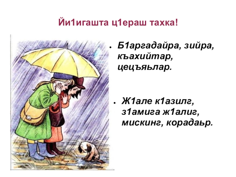 Йи1игашта ц1ераш тахка!Б1аргадайра, зийра, къахийтар, цецъяьлар. Ж1але к1азилг, з1амига ж1алиг, мискинг, корадаьр.