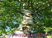 Презентация по литературному чтению. 1-4 класс.