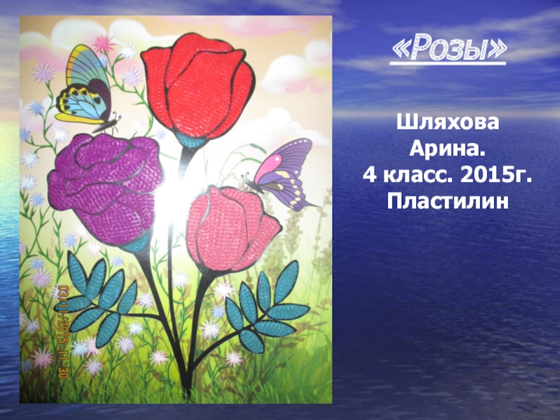 «Розы»  Шляхова Арина. 4 класс. 2015г. Пластилин