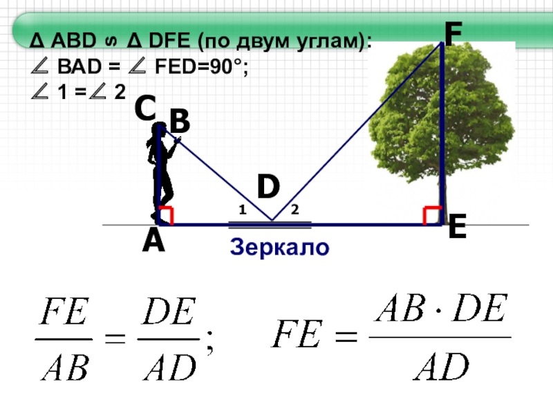 ЗеркалоFDВАС12EΔ АВD   Δ DFE (по двум углам): ∠ ВАD = ∠ FED=90°;∠ 1 =∠ 2s
