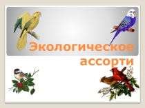 Презентация к игре на тему Экологическое ассорти