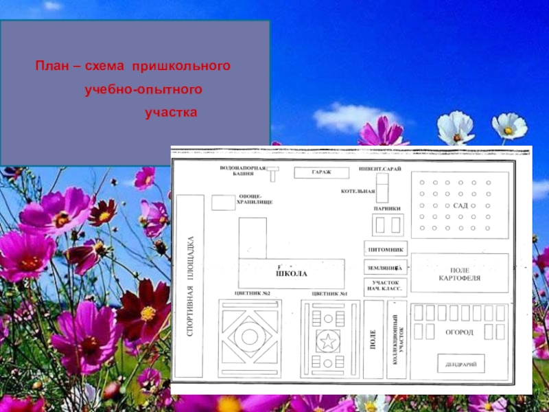 План схема пришкольного участка