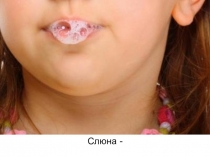 Презентация по биологии на тему Пищеварение в ротовой полости