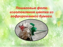 Пошаговые фото изготовления цветка из гофрированной бумаги.