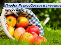 Презентация по теме Плоды.