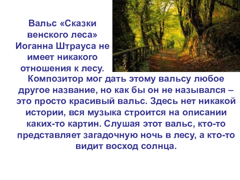 Сказки венского леса. Вальс сказки Венского леса. Штраус сказки Венского леса. Иоганн Штраус сказки Венского леса вальс.