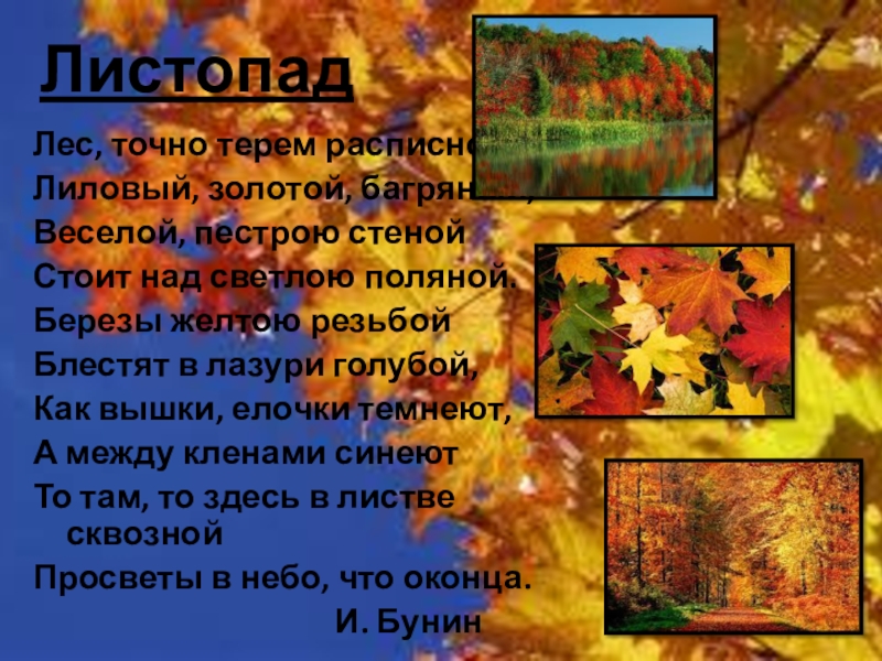 Бунин лес точно терем расписной. Лес расписной лиловый золотой багряный. Лес точно Терем расписной лиловый золотой багряный весёлой пёстрою. Стих Бунина лиловый золотой багряный. Лес точно Терем расписной лиловый.