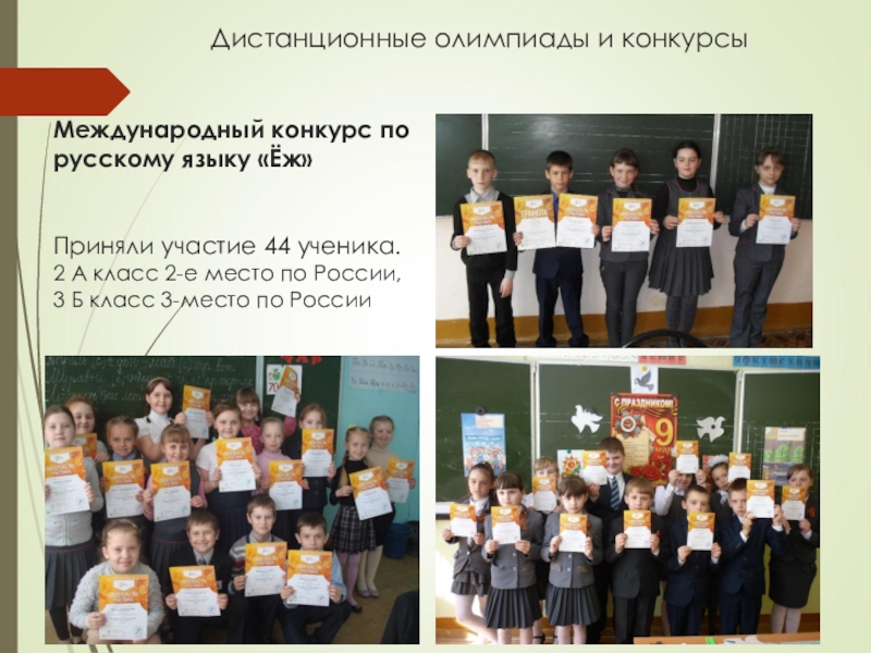 Конкурс игра еж. Международный конкурс еж по русскому языку 3 класс. Конкурс игра еж. Конкурс еж по русскому языку. Междкнародный конкурс игра по русскому языку ёж.