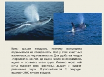 Презентация по биологии на тему Органы дыхания