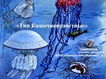 Презентация по биологии на тему Тип Кишечнополостные. Пресноводная гидра