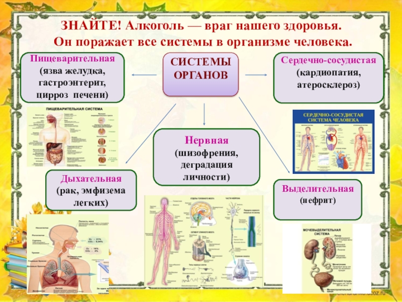 Алкоголь враг здоровья человека презентация