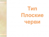 Презентация по биологии Плоские черви