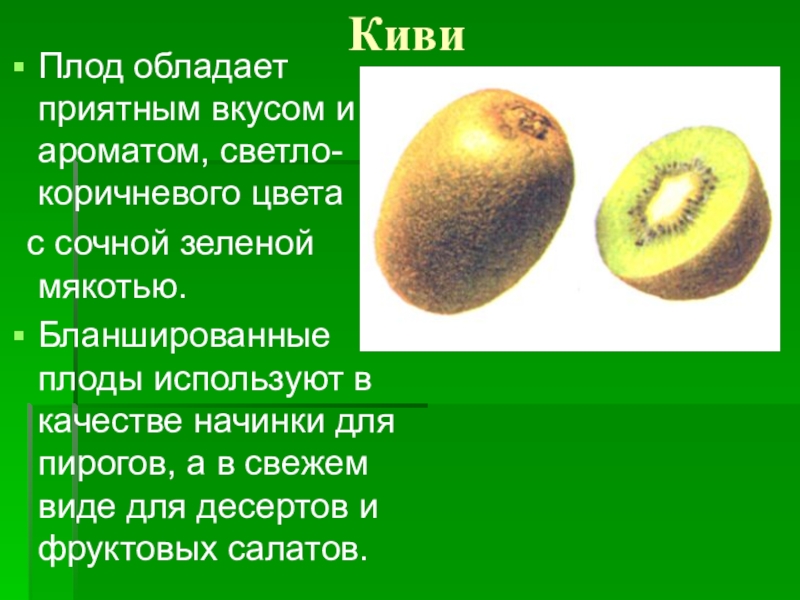 Киви кратко. Строение плода киви. Строение плодов киви. Доклад о киви фрукт. Презентация про киви фрукт.
