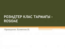 РОЗИДТЕР КЛАС ТАРМАҒЫ - ROSIDAE