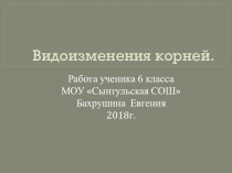 Презентация по теме Видоизменения корней.