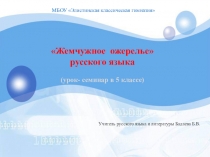 Презентация по русскому языку на тему Синонимы(5 класс)