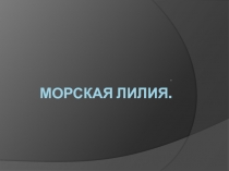 Презентация по биологии Лилии 7 класс