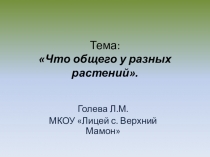 Презентация по окружающему миру на тему Что общего у разных растений  ( 1 класс)