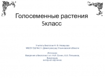 Презентация по биологии на тему Голосеменные растения (5 класс).