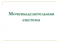Презентация к уроку Строение и функции мочевыделительной системы.