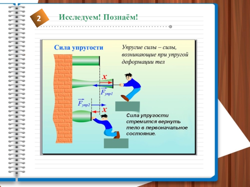 4 класса сил. Сила упругости проект по физике 7 класс. Сила упругости проект. Сила упругости познание мира. Проект по физике 7 класс сила.