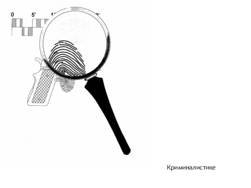 Криминалистика картинки для презентации