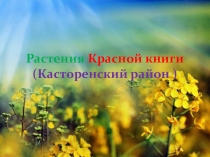 Презентация Растения Красной книги