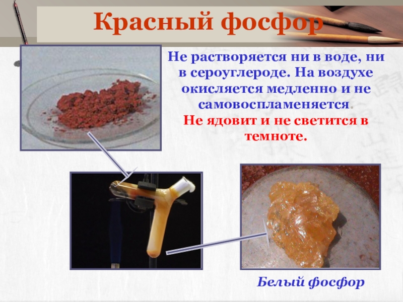 Красный фосфор. Красный фосфор растворяется в воде. Красный фосфор спички. Растворимость красного фосфора.