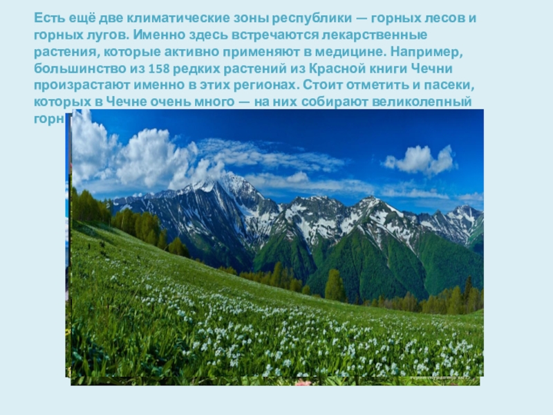 Проект на тему разнообразие природы родного края 3 класс окружающий мир