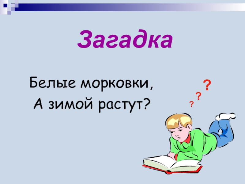 Рос урок. Загадки на белом фоне. Загадка белая морковка зимой растет. Большая морковь зимой растет загадка. Белая морковка зимой растет ответ на загадку.