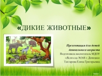 Презентация по познавательному развитию на тему Дикие животные