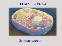 Презентация по биологии на тему Живые клетки