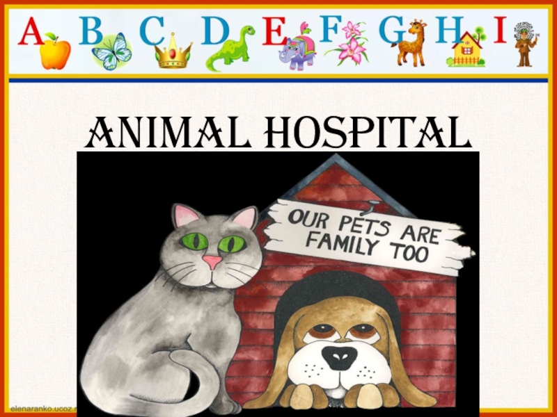 The animal hospital презентация 4 класс spotlight