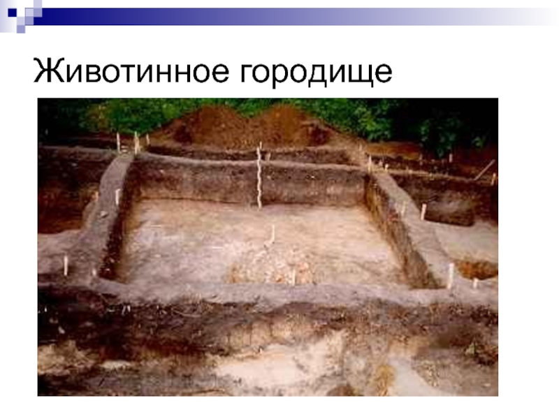 воронеж древние поселения. раскопки костёнки воронежская. маяцкая крепость в дивногорье. каменный лабиринт мостище воронежская область. городище вантит.