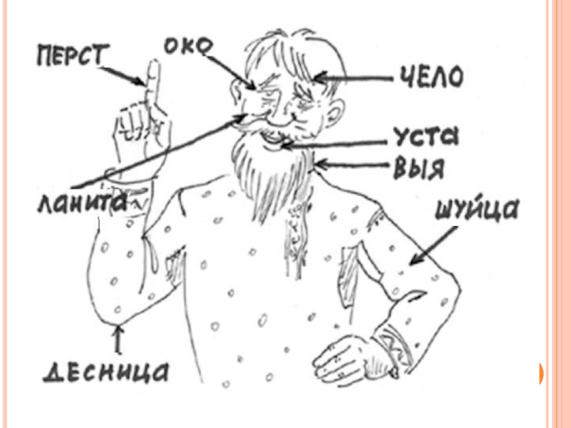 Устаревшее название турки. Пушкин устаревшие слова. Игры устаревшие слова для детей.