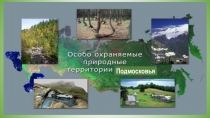 Презентация по родному Подмосковью на тему Охраняемые природные территории Московской области (8 класс)