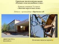 Русских птиц волшебных стая.