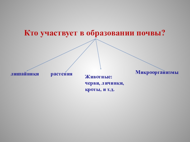 Что из перечисленного участвует. Что участвует в образовании почвы. Кто участвует в образовании почвы. Кто участвует в образовании почвы 3 класс. Растения участвуют в образовании почвы.