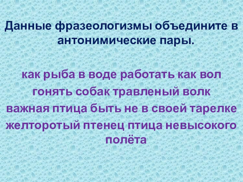 Данные фразеологизмы объедините в антонимические пары.как рыба в воде работать как волгонять собак травленый волкважная птица быть