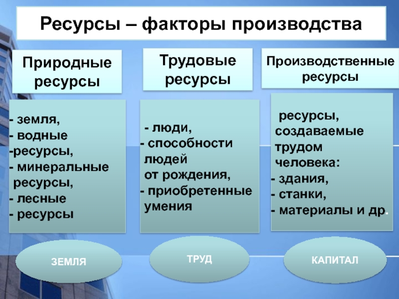 Продукт проекта по обществознанию