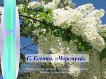Презентация по литературному чтению С.Есенин. Черемуха