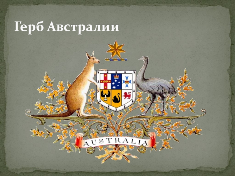 Какой символ австралии. Герб Австралии. Герб на аву. Животное на гербе Австралии. Герб Австралии фото.