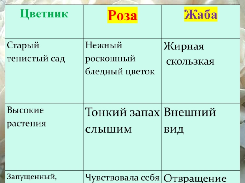 Презентация о розе и жабе и розе