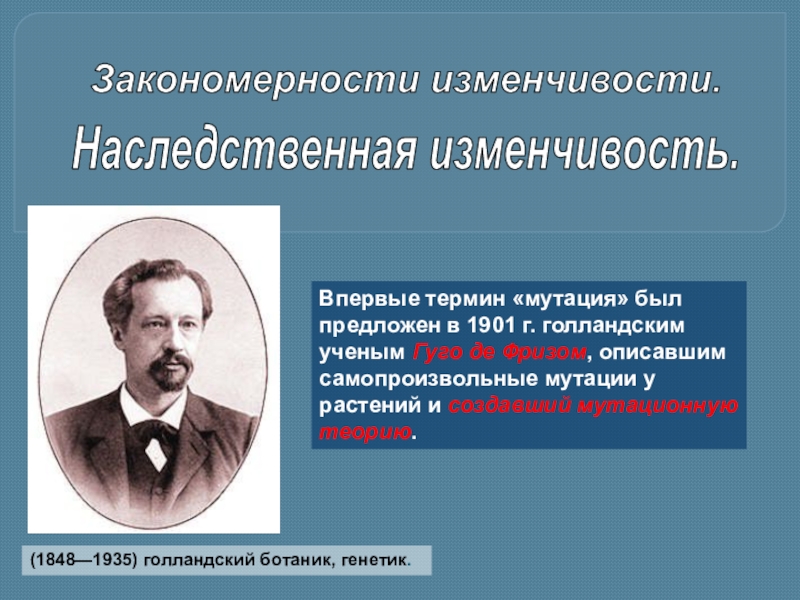 Закономерности изменчивости презентация