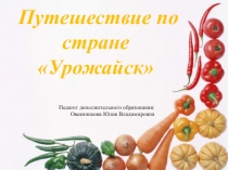 Презентация к занятию Путешествие по городу Урожайск